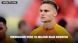 Verbruggen voor 20 miljoen naar Brighton