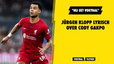 Klopp lyrisch over Gakpo: "Hij eet voetbal"